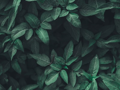 A simple php blog